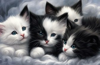 what does black and white kittens mean in a dream