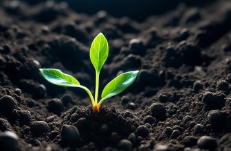 4 steps to spiritual growth