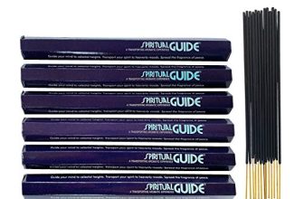 6 Best Spiritual Incense for Home in 2024