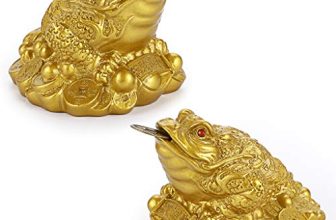 Top 6 Feng Shui Frog Products Collection