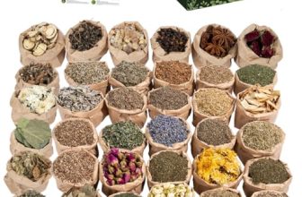 Top 6 Spiritual Herbs Witch Kit Picks