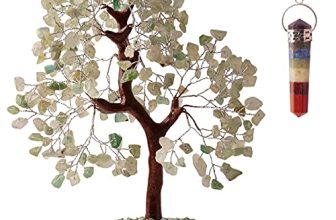 Top 6 Spiritual Indoor Plants for Zen Vibes