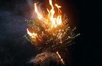 Top 7 Spiritual Music Picks for Soulful Bliss