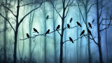 Unveiling the Spiritual Significance of 9 Crows