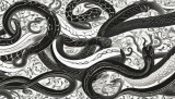 Dreaming of Black and White Snakes Revealed: Unlocking the Mysteries of Spiritual Significance