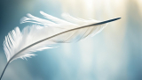 Unveiling Feather Spiritual Symbolism’s Mystique