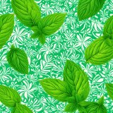Peppermint Essential Oil – Spiritual Benefits Explored