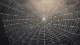 Spiritual Meaning of Spider Web in Dreams: Unlocking the Mystical Symbolism