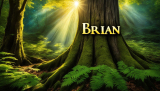 Exploring the Spiritual Meaning of the Name Brian