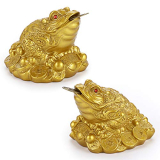 Top 6 Feng Shui Frog Products Collection