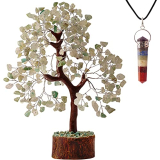 Top 6 Spiritual Indoor Plants for Zen Vibes