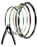 Top 7 Feng Shui Tree Products to Elevate Your Space