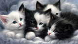 What Does Black and White Kittens Mean in a Dream: Exploring the Symbolism