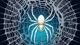 White Spider Spiritual Symbolism Explained